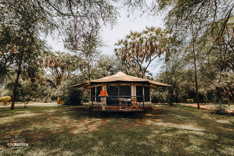 Ashnil Samburu Camp: fijne middenklasse safari lodge in Samburu Kenia Ashnil Samburu Camp, een comfortabele middenklasse lodge voor safari in Samburu en Buffalo Springs in Kenia