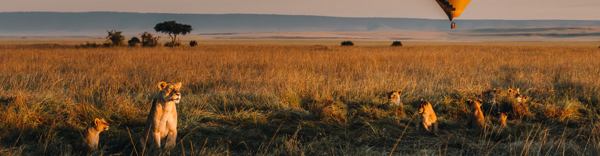 Beste Safari Lodges in Kenia Beste safari lodges in Kenia, bijzondere plekken om te verblijven van mid-range tot luxe