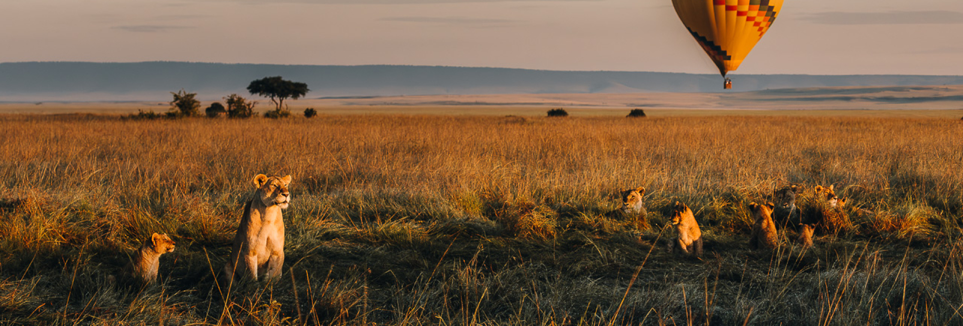 Beste Safari Lodges in Kenia Beste safari lodges in Kenia, bijzondere plekken om te verblijven van mid-range tot luxe