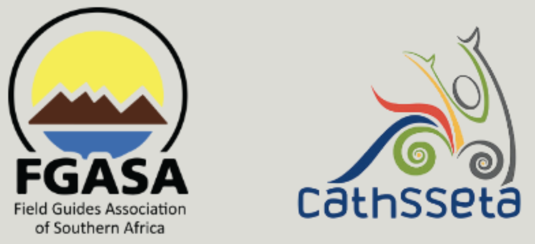 Kim is als gekwalificeerd safari gids lid van en gecertificeerd door de Field Guide Association of Southern Africa en CATHSSETA