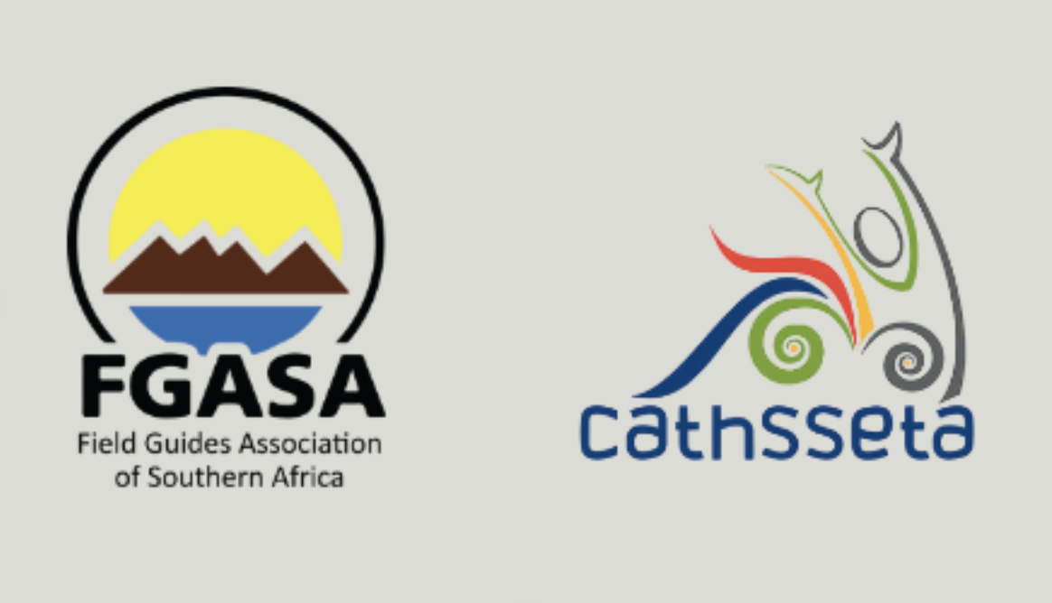 Kim is als gekwalificeerd safari gids lid van en gecertificeerd door de Field Guide Association of Southern Africa en CATHSSETA