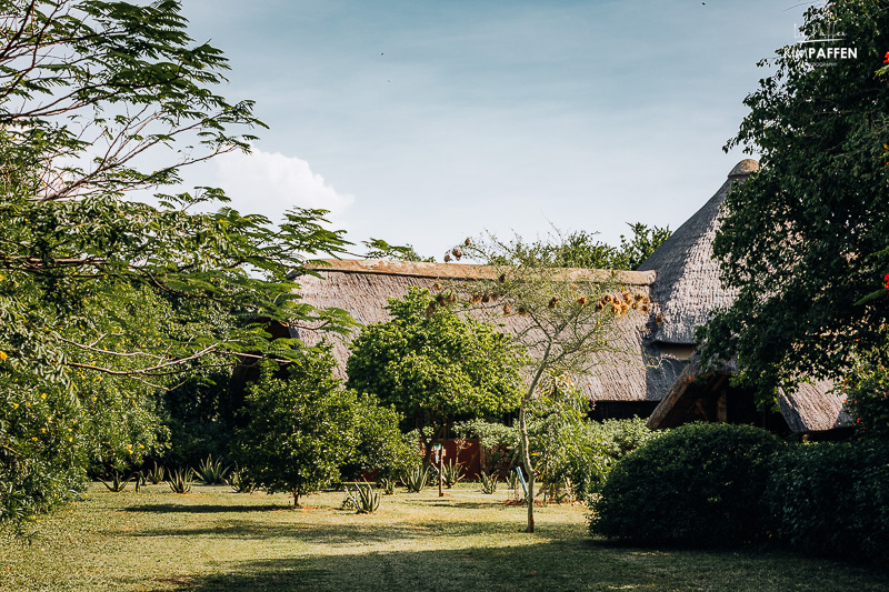 groene tuin met veel vogels in Lake Albert Safari Lodge in Kabwoya Wildlife Reserve