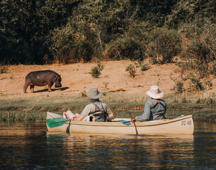 Kano Safari op de Lower Zambezi rivier met een nijlpaard langs de oever
