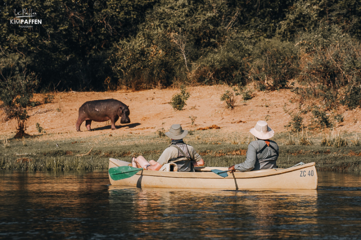Kano Safari op de Lower Zambezi rivier met een nijlpaard langs de oever