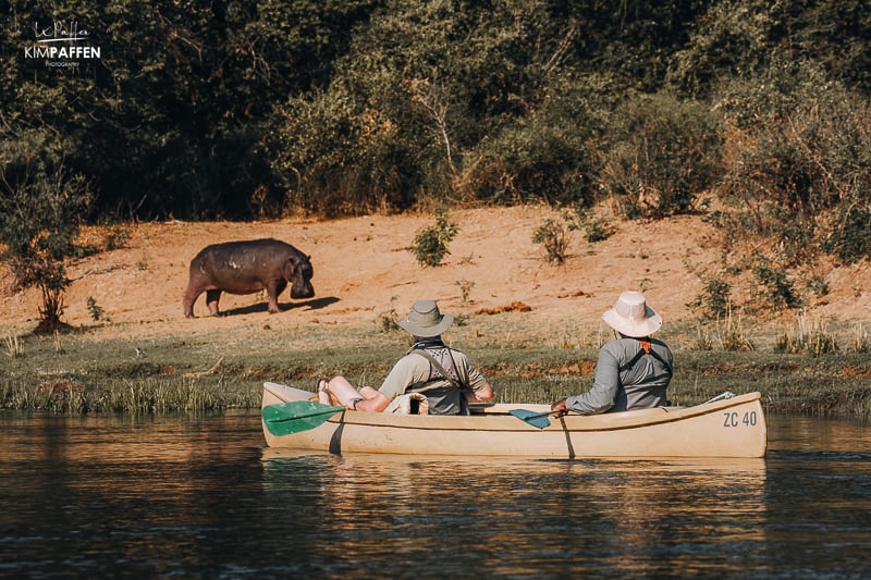 Kano Safari op de Lower Zambezi rivier met een nijlpaard langs de oever