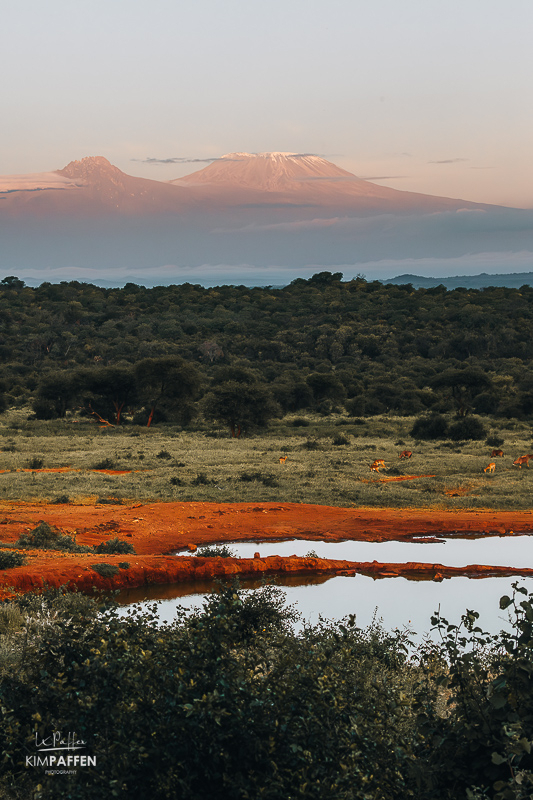 Uitzicht op de Kilimanjaro vanaf het terras van Kilaguni Serena Safari Lodge in Tsavo West Kenia