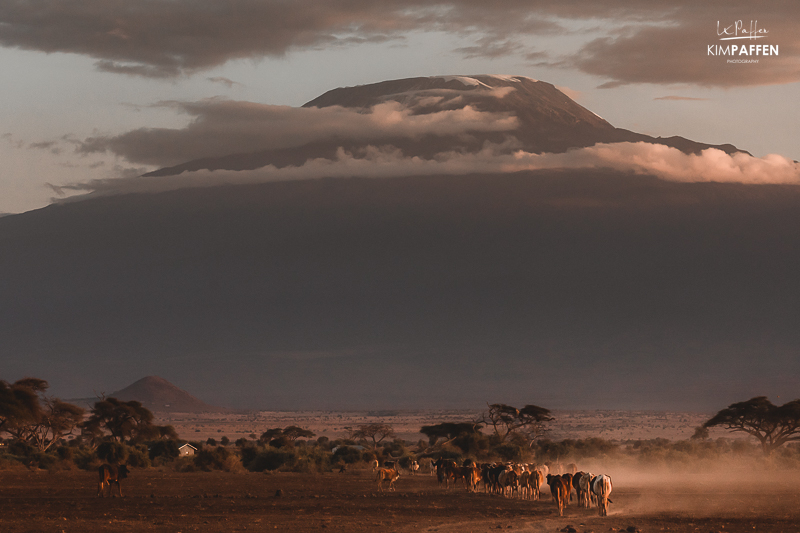 Praktische tips om Mount Kilimanjaro in Tanzania te beklimmen