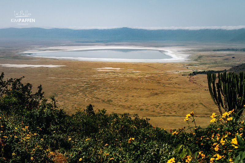 Overzicht van de Ngorongoro-krater in Tanzania Panoramisch overzicht van de Ngorongoro-krater in Tanzania
