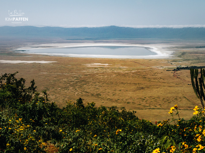 Overzicht van de Ngorongoro-krater in Tanzania Panoramisch overzicht van de Ngorongoro-krater in Tanzania