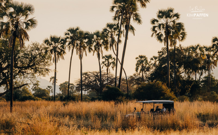 Noord of Zuid-Tanzania: welke safari past bij jou? Noord versus Zuid-Tanzania: twee totaal verschillende safari-ervaringen