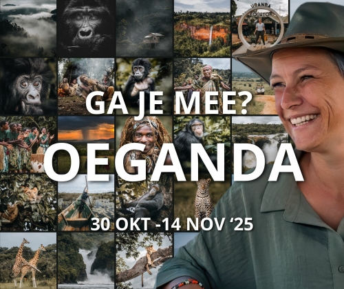 Oeganda Rondreis Kleinschalige Groepsreis voor max 6 personen
