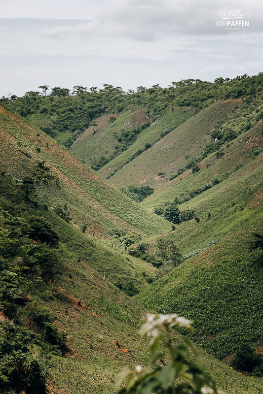 Weg tussen Murchison Falls en Kibale via Kabwoya Wildlife Reserve