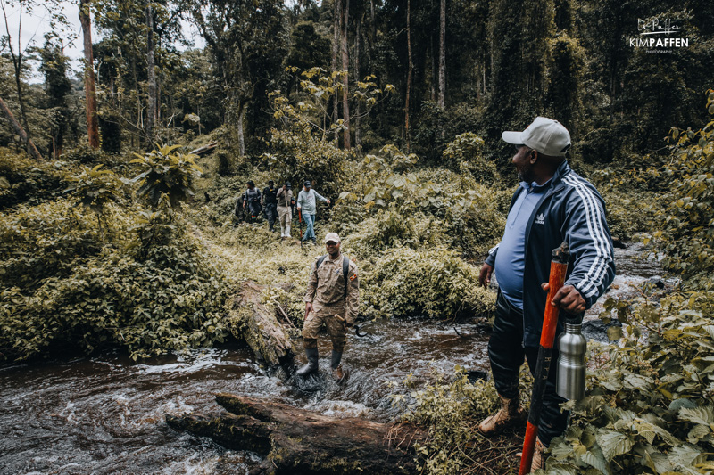 Een rivier oversteken tijdens gorilla trekking in Rushaga in 2023 Een rivier oversteken