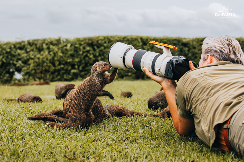 Safarifotografie op reis in Oeganda