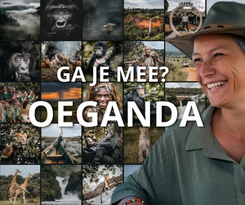 Safari Oeganda Kleinschalige groepsreis met Kim Paffen