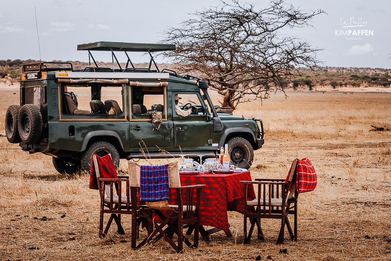 Rust en ruimte op safari in Tanzania Rustige, kleinschalige safari-ervaring in Tanzania met ontbijt in de bush