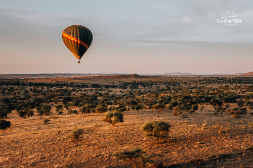 Serengeti: vlakte en wildlife in Tanzania Serengeti Tanzania: vlakte met wildlife tijdens een ballonsafari