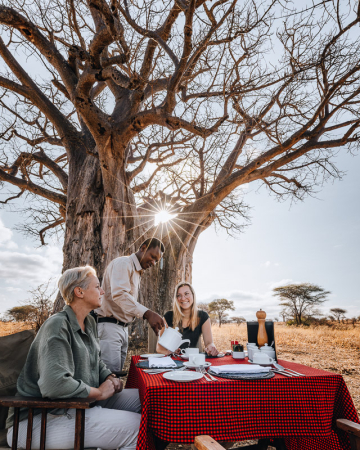 Bush Breakfast onder een enorme Baobab na onze wandelsafari in Tarangire National Park Tanzania