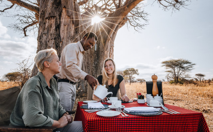 Bush Breakfast na een wandelsafari in Tarangire Bush Breakfast onder een enorme Baobab na onze wandelsafari in Tarangire National Park Tanzania