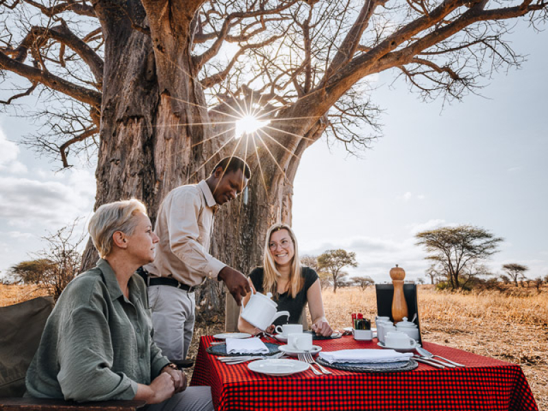Bush Breakfast na een wandelsafari in Tarangire Bush Breakfast onder een enorme Baobab na onze wandelsafari in Tarangire National Park Tanzania