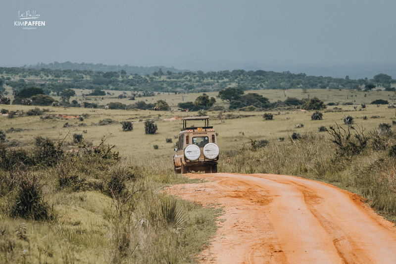 Auto rijdt door Murchison Falls National Park tijdens een game drive met uitzicht op de Afrikaanse savanne