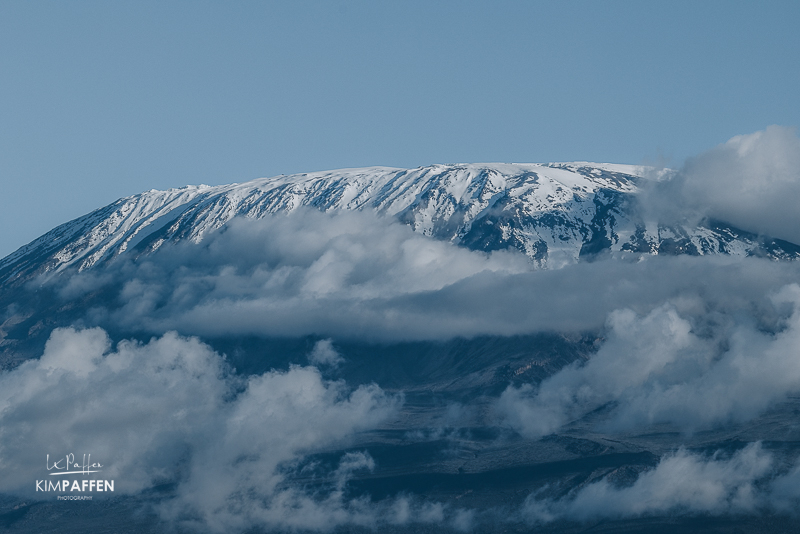 Uitzicht op de besneeuwde top van de Kilimanjaro in Tanzania de hoogste berg in Afrika