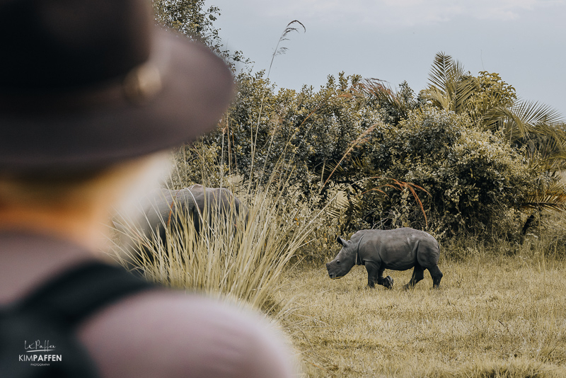 Wandelsafari op zoek naar neushoorns in Ziwa Rhino Sanctuary Oeganda