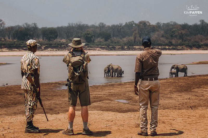 safari te voet langs de luangwa riviermet The Bushcamp Company in Zuid Luangwa Zambia