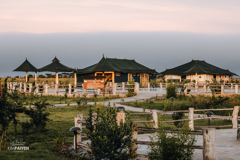 Zwembad en spa bij Maisha Sweetwaters Camp in Ol Pejeta Kenia Zwembad en ligstoelen bij Maisha Sweetwaters Camp in Ol Pejeta Conservancy in Kenia