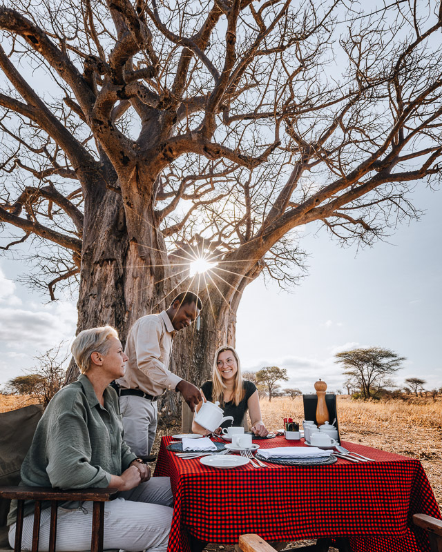 Bush Breakfast na een wandelsafari in Tarangire Bush Breakfast onder een enorme Baobab na onze wandelsafari in Tarangire National Park Tanzania