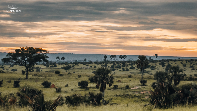 Zonsopkomst over het savannelandschap van Murchison Falls National Park