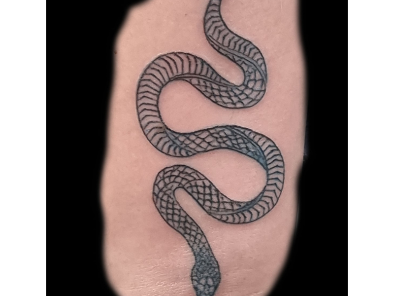 SaintAubin_Snaketattoo