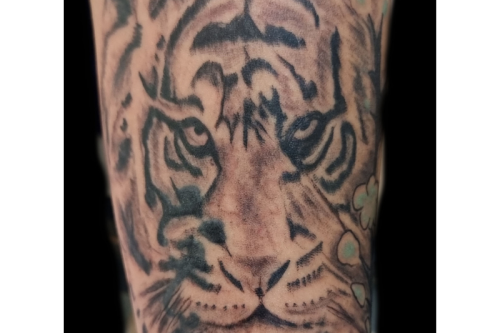 Tattoo_Tijger