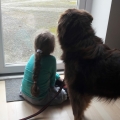 Helpende huishond buddyhond, emotionele ondersteuning