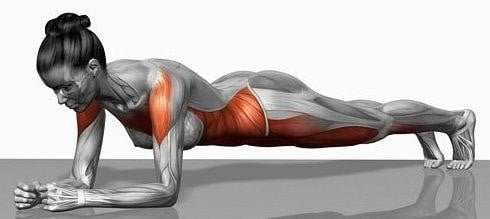 Planken - Met deze fitnessoefening train je in korte tijd je hele lichaam