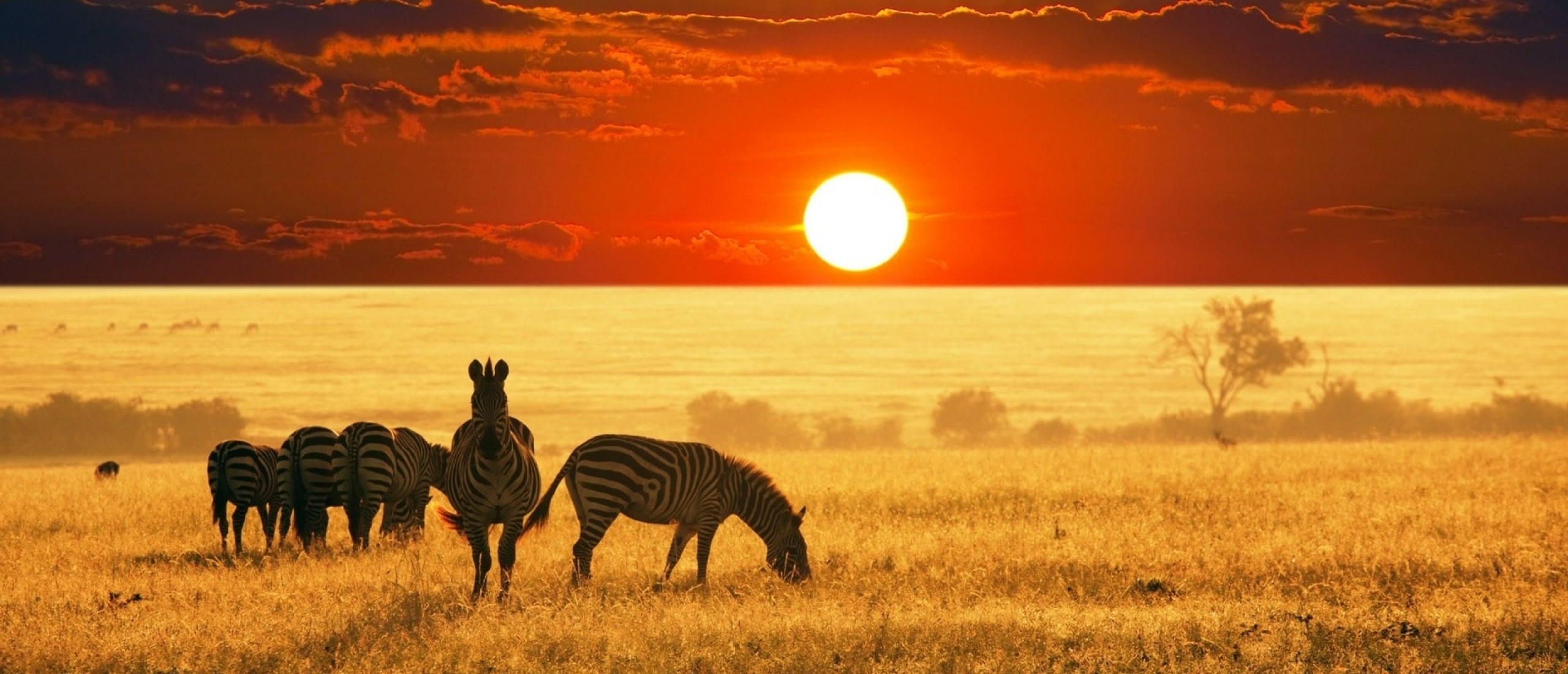 Yoga Safari Zuid-Afrika & Mozambique incl. o.a. rondreis Krugerpark
