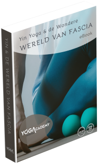 eBook Yin Yoga & Fascia Online TT