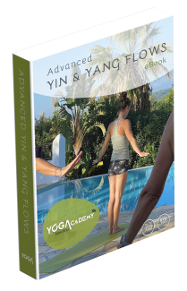 eBook Yin & Yang Flows TT