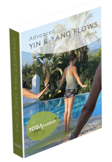 eBook Yin & Yang Flows TT