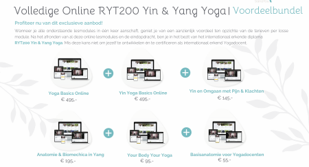 Yin & Yang teacher Training Online RYT200 SanaYou YOGAcademy