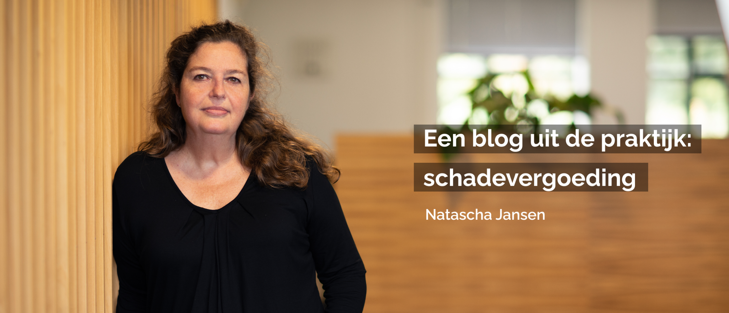 Blog Natascha Jansen | Uit de praktijk: schadevergoeding via het (verkeers)strafrecht en/of de civielrechtelijke weg?