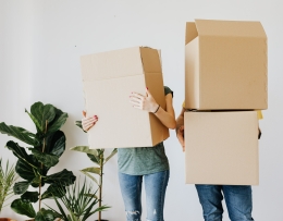Verhuisdozen Verhuisdozen