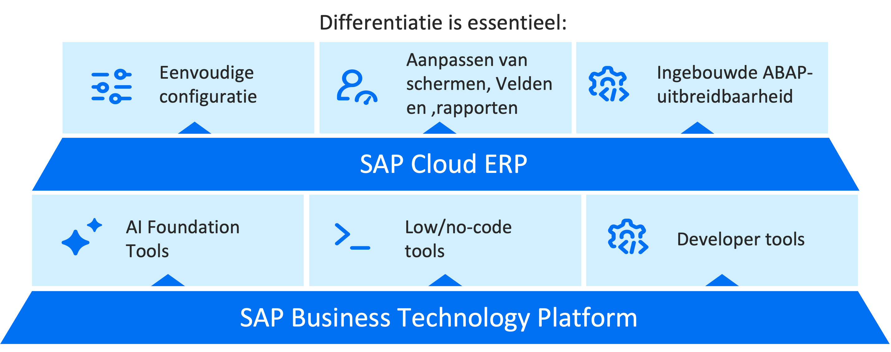 SAP Business Suite Differentiate mogelijkheden SAP Business Suite Differentiate mogelijkheden