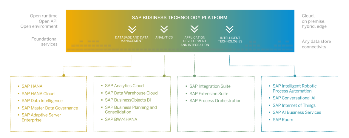 Rise with SAP | Scheer SAP Cloud ERP Partner