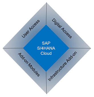 SAP S/4HANA License Components SAP S/4HANA License Components