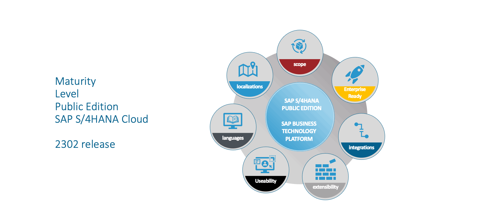 SAP S/4HANA Cloud Public Edition elementen SAP S/4HANA Cloud Public Edition elementen