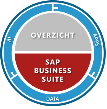 SAP Business Suite Overzicht