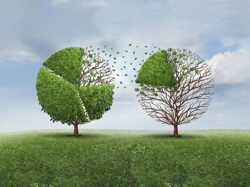 SNP & Scheer Carve Out Solutions