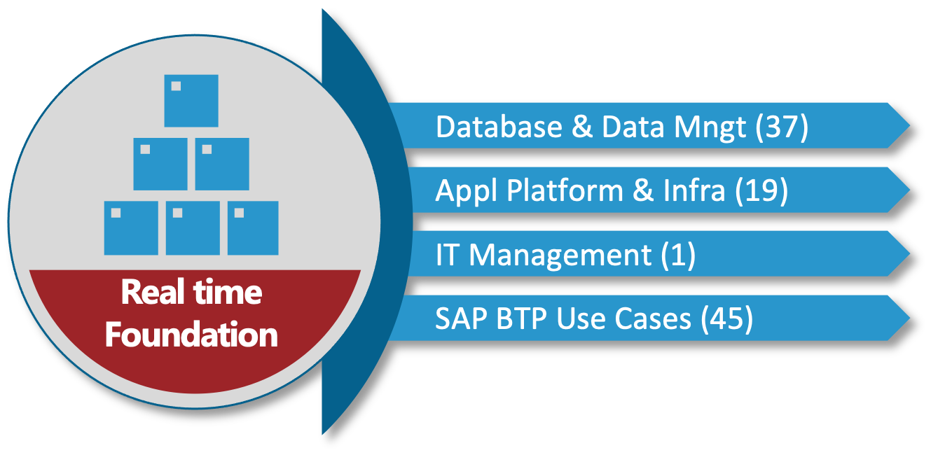 SAP S/4HANA Cloud, Public Edition Business Area of Real Time Foundation
