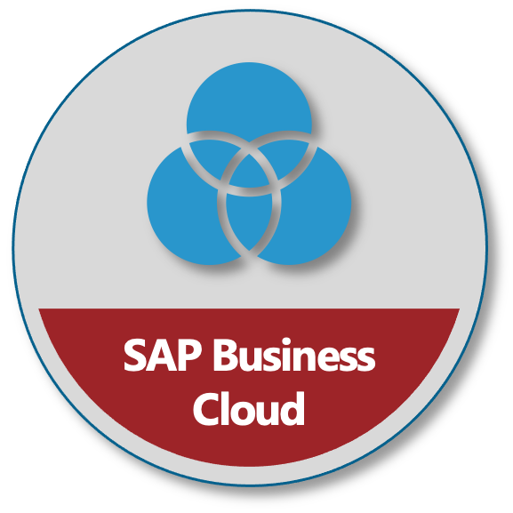 SAP Business Suite - Business Cloud